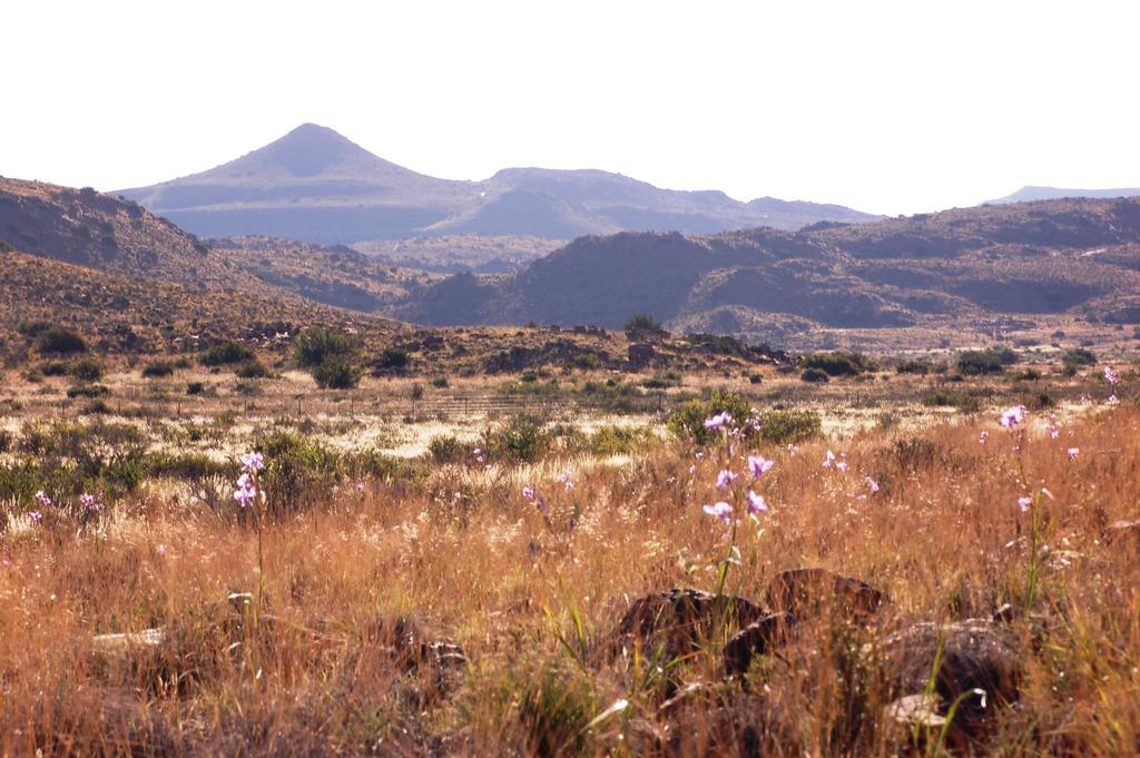 The Vale Karoo Farm Villa Nelspoort Kültér fotó
